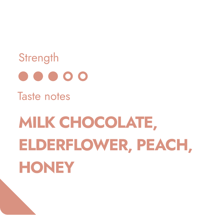 HONDURAS SPECIALTY COFFEE BEANS